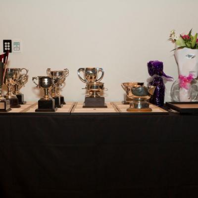 244a3812 Trophy Table